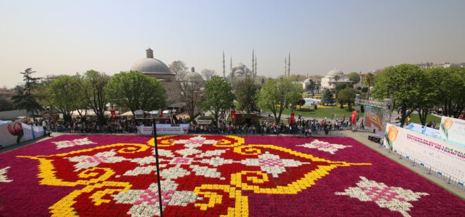 The Largest ‘ Tulip Carpet ‘ in Sultanahmet, Istanbul